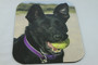 Custom Printed Photo Mouse Mats
